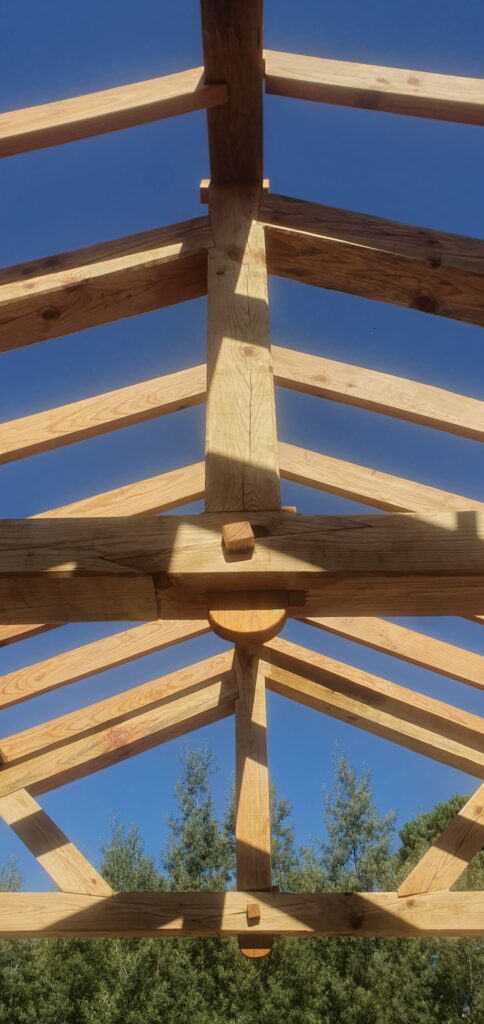 20240910 112743 1 scaled.jpg