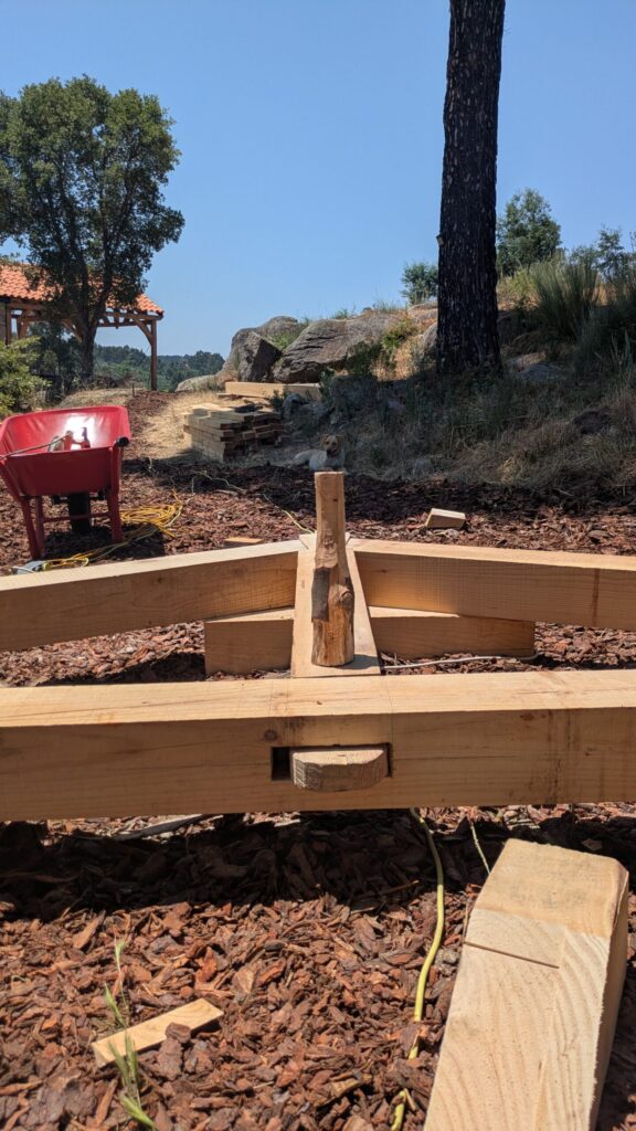 pxl 20250616 130622710 1 scaled.jpg